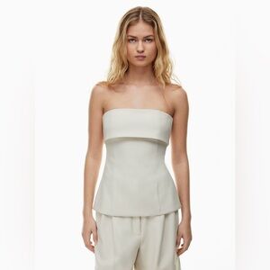 Aritzia Element Tube Top (size 6) in Matte Pearl